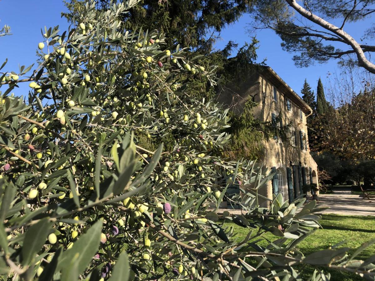 Bed and Breakfast Desir De Provence à Sarrians Extérieur photo